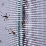 Packers and Movers in Vizag (Website) (8)